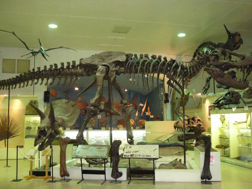 Natural History Museum