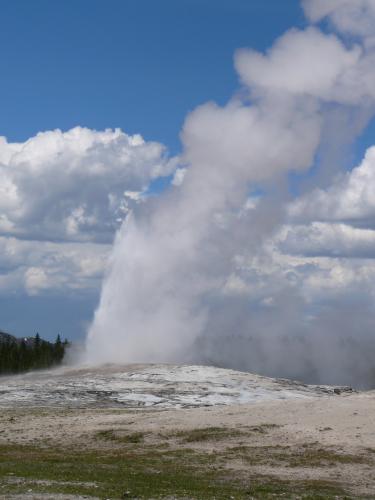 Old Faithful
