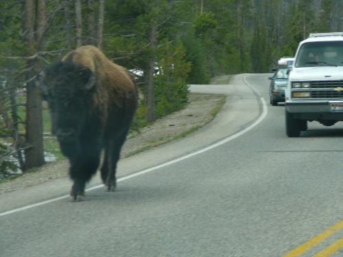 A little traffic problem