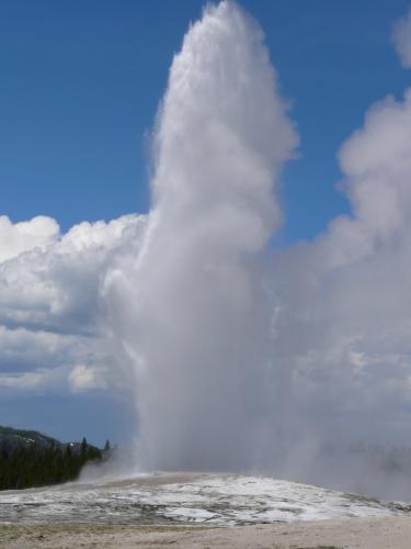 Old Faithful