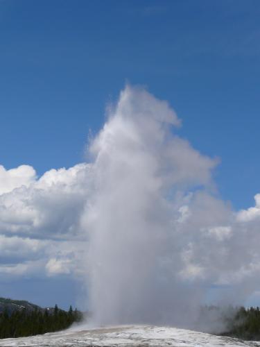 Old Faithful