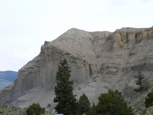 Just North of Yellowstone