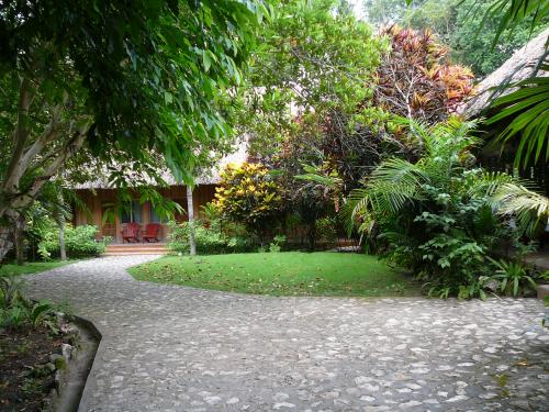 Jungle house