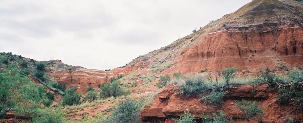 Beautiful Red Rocks in the Canyon