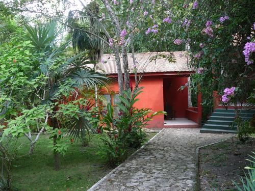 My Jungle cabin