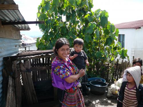 Stove Building Families