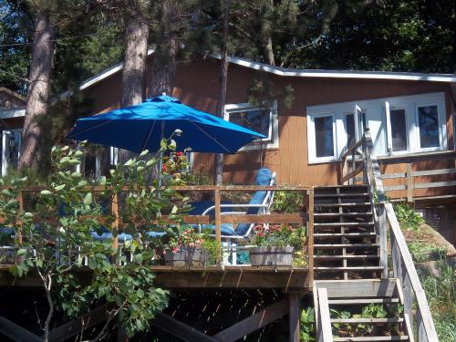 The Cabin